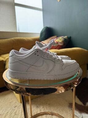 Nike Skateboard White Low-Top Leather Sneakers